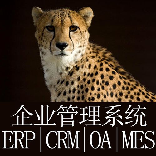 企业管理系统开发定制erp进销存oa办公mes生产流程crm销售软件hr